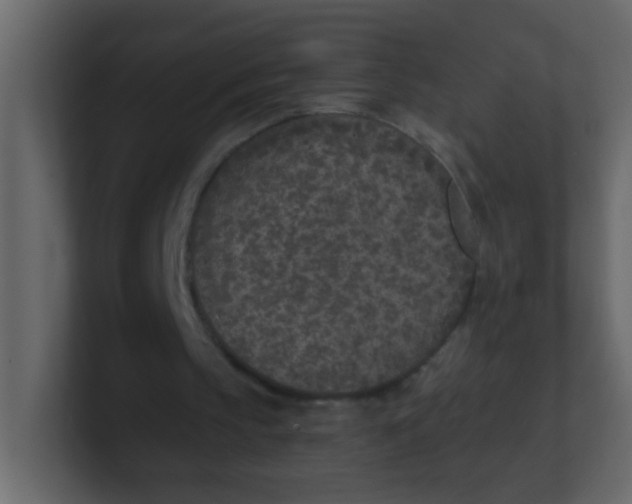 X0000101110145200807101517