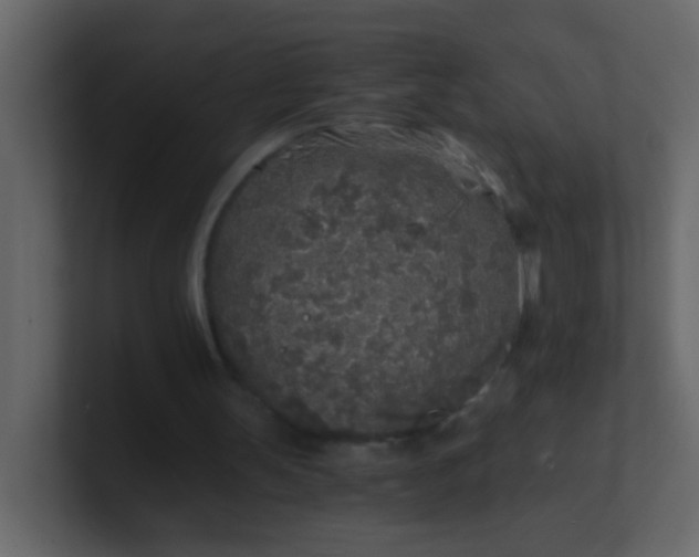 X0000101110147200807101517