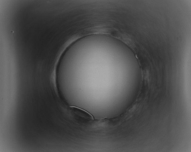 X0000101110148200807101517
