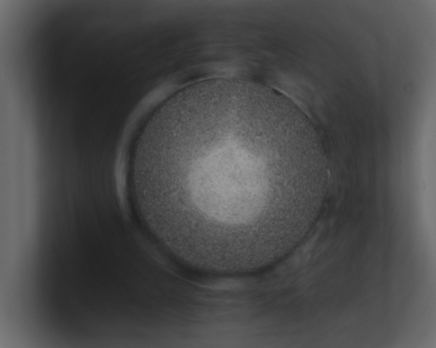 X0000101110149200807101517