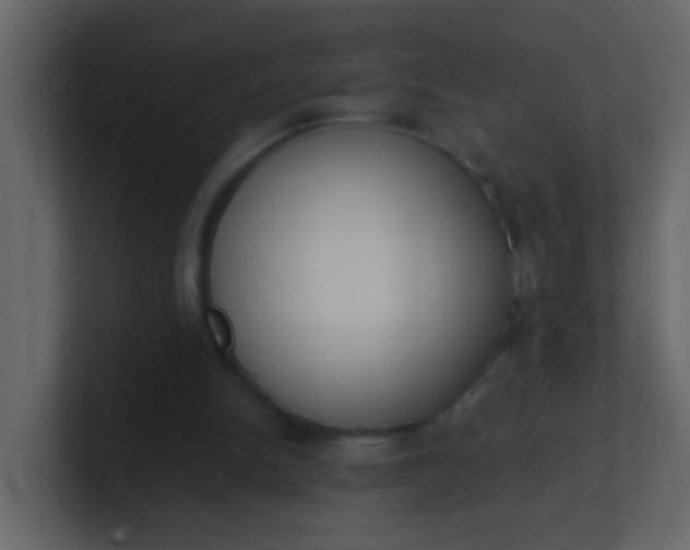 X0000101110150200807101517