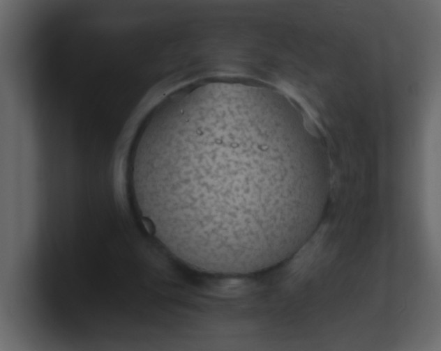X0000101110151200807101517