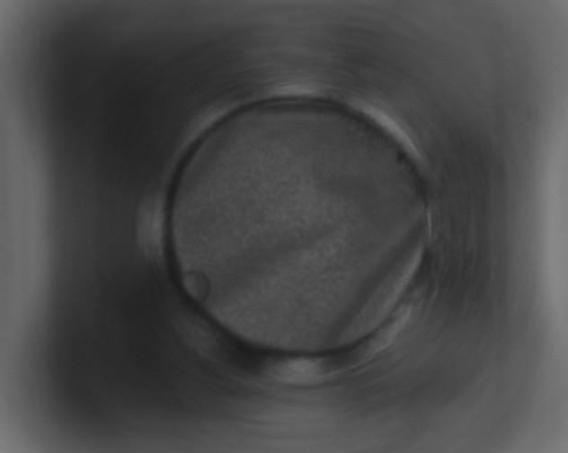 X0000101110156200807101517