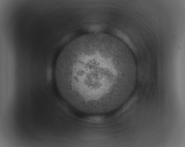 X0000101110161200807101517