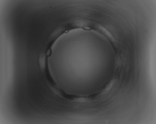 X0000101110163200807101517