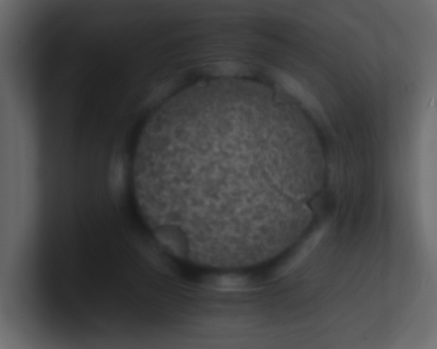 X0000101110165200807101517