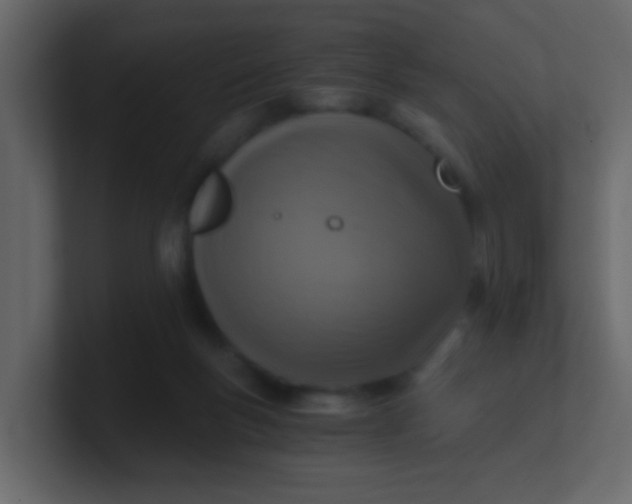 X0000101110167200807101517