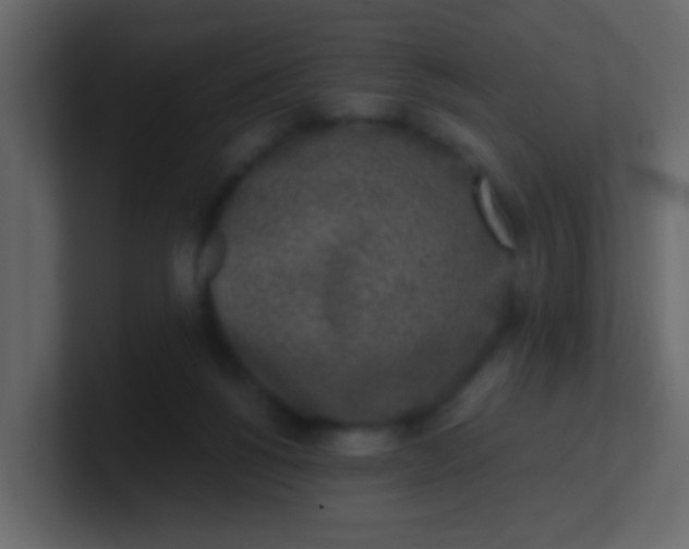 X0000101110168200807101517