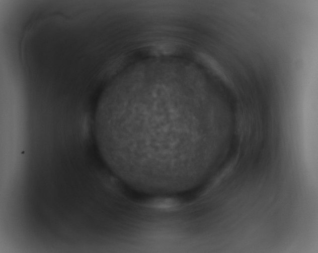 X0000101110169200807101517