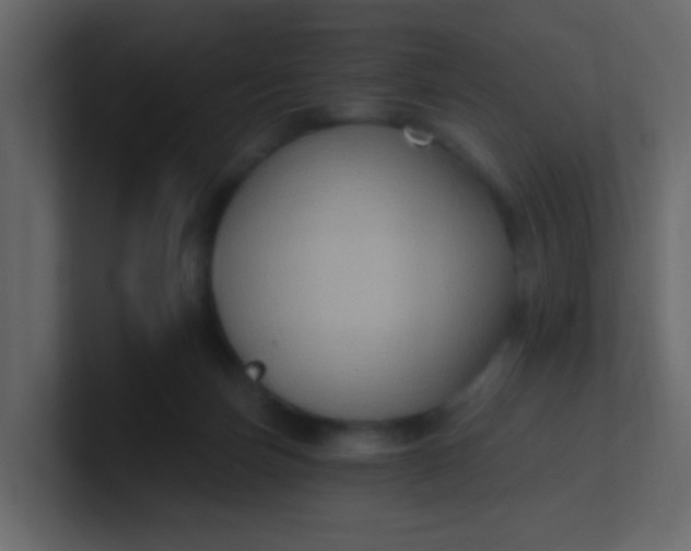 X0000101110171200807101517