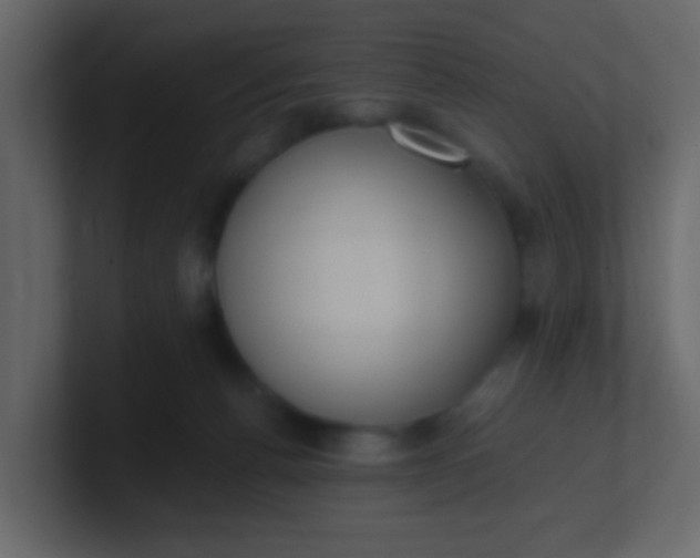 X0000101110176200807101517