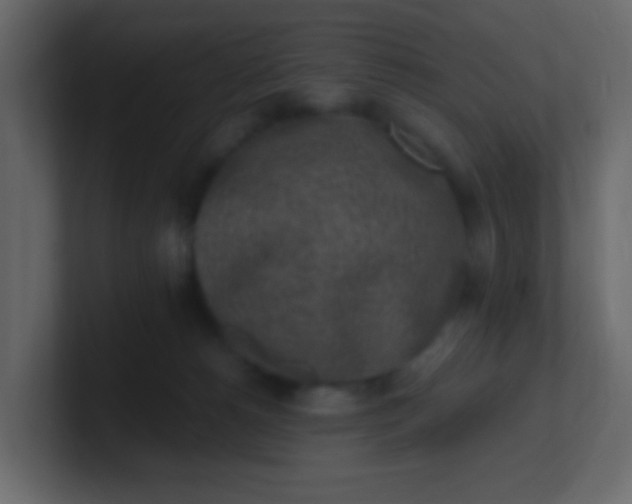 X0000101110180200807101517