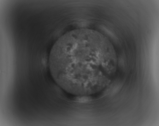 X0000101110181200807101517