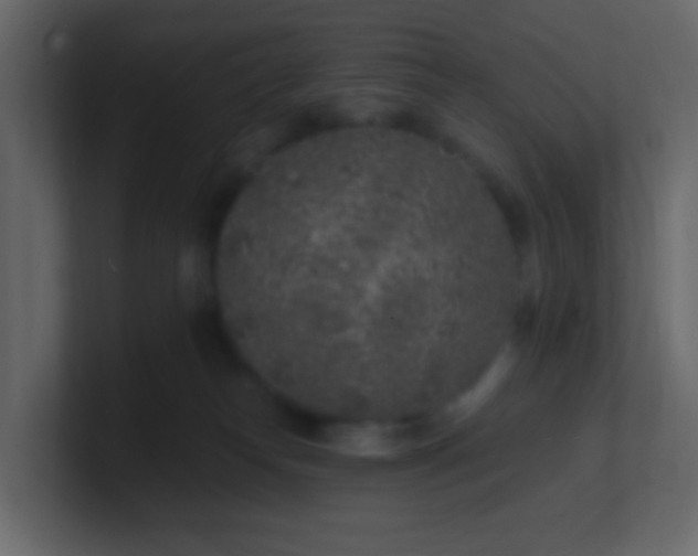 X0000101110182200807101517