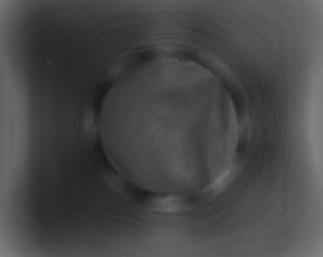 X0000101110186200807101517