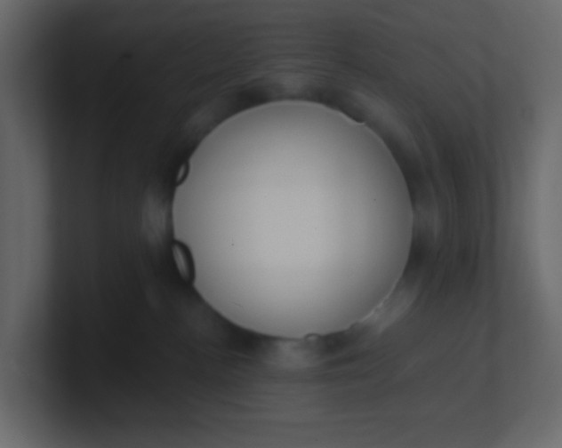 X0000101110188200807101517