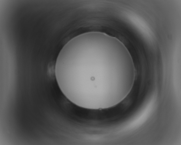 X0000101110190200807101517