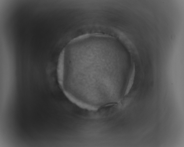 X0000101110192200807101517