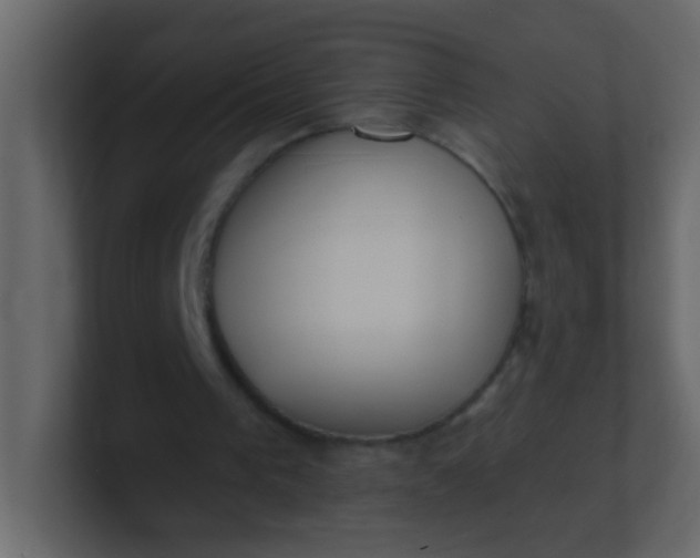 X0000101110193200807101516