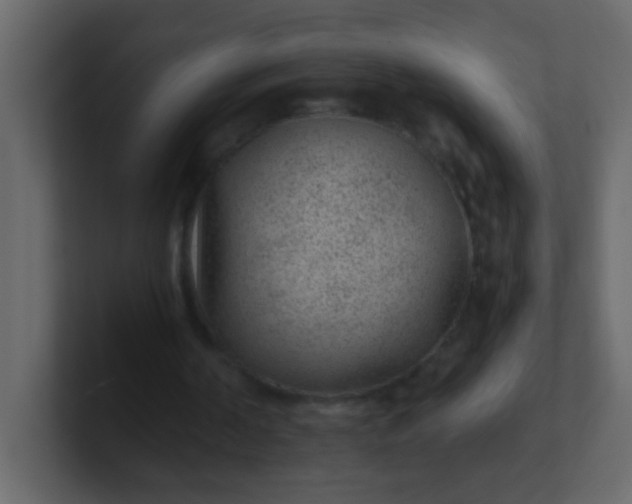 X0000101110194200807101516