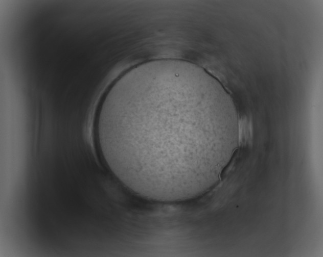 X0000101110195200807101516