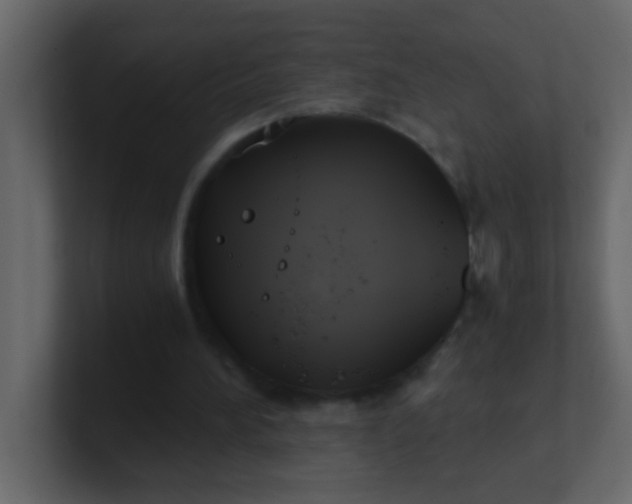 X0000101110196200807101516