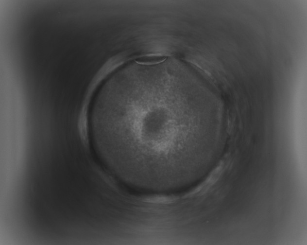 X0000101110198200807101516