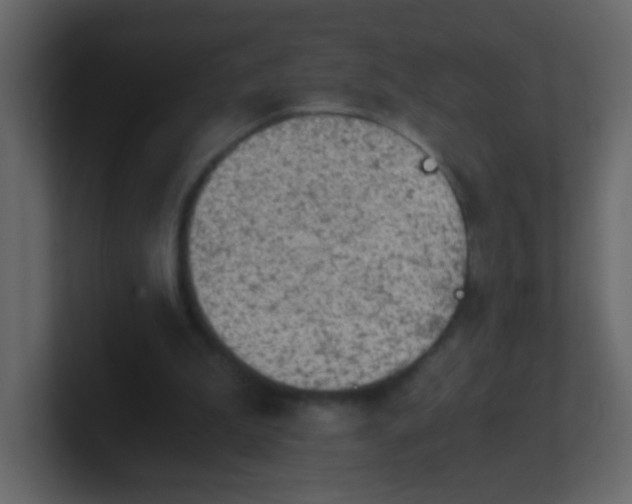 X0000101110199200807101516
