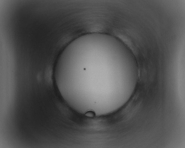 X0000101110201200807101516