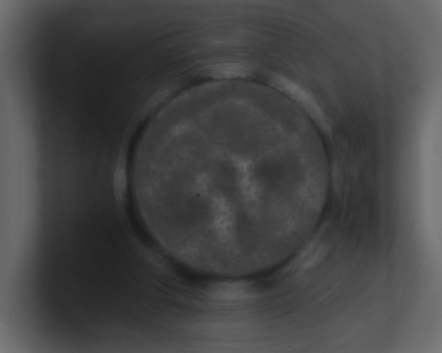 X0000101110202200807101516