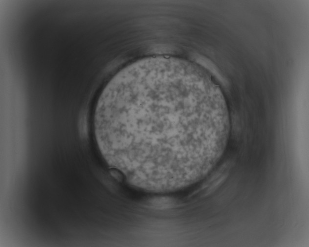 X0000101110203200807101516