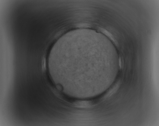 X0000101110205200807101516