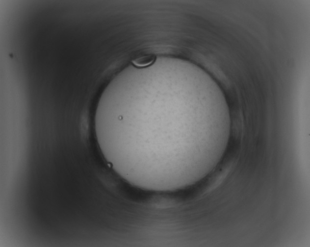 X0000101110207200807101516