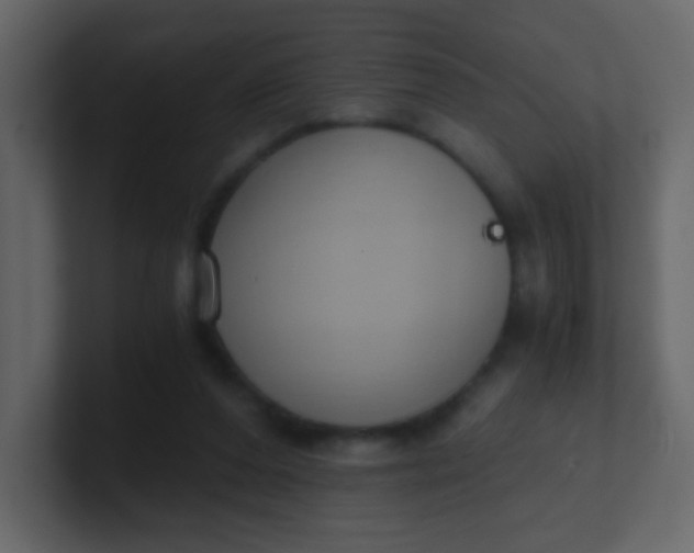 X0000101110208200807101516