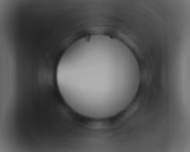 X0000101110209200807101516