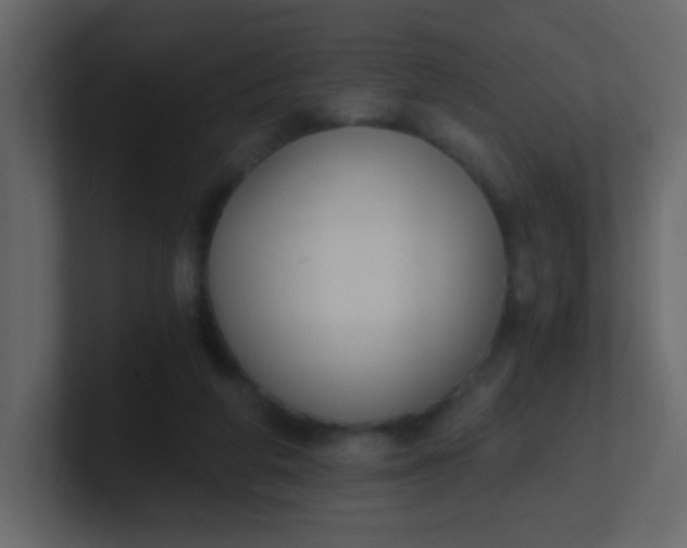 X0000101110210200807101516