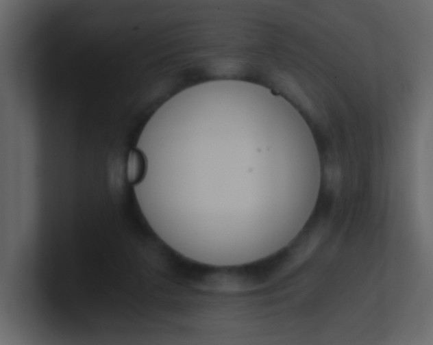 X0000101110211200807101516