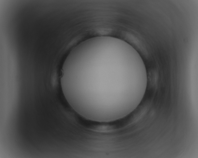 X0000101110212200807101516