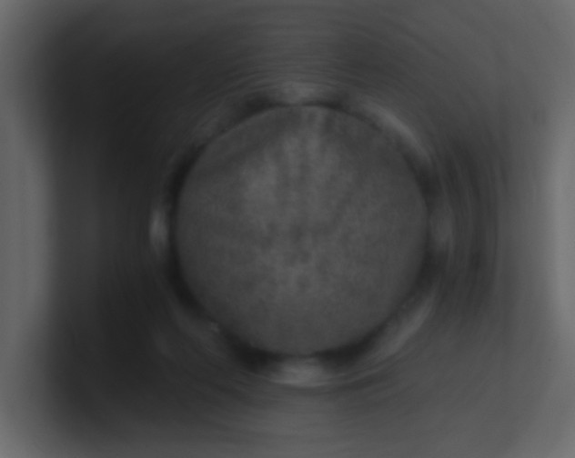 X0000101110214200807101516