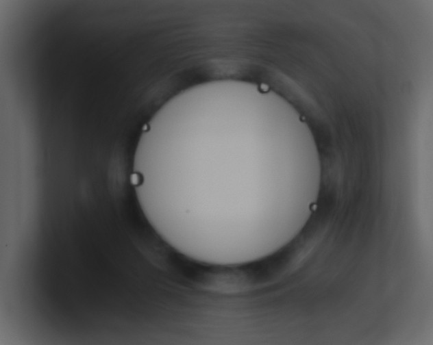 X0000101110215200807101516