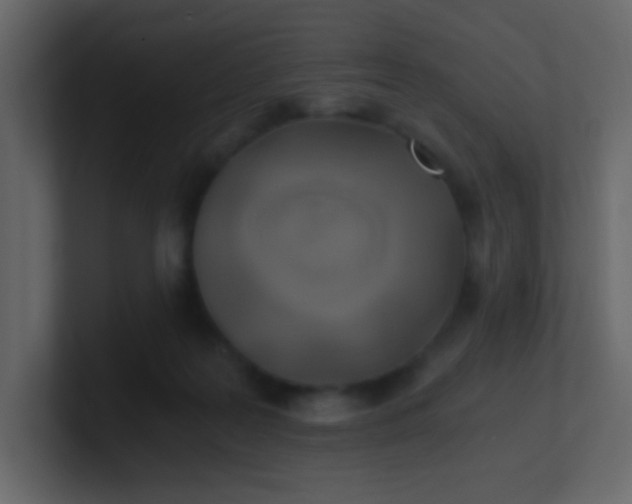 X0000101110219200807101516