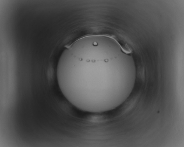 X0000101110220200807101516