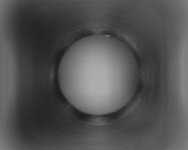 X0000101110221200807101516