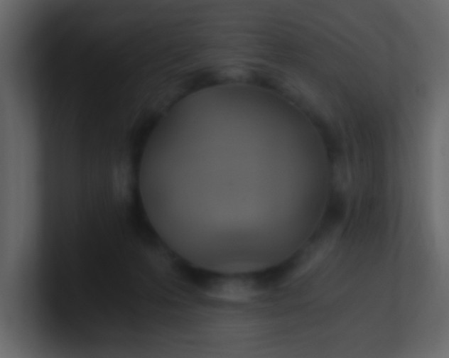 X0000101110223200807101516