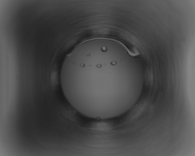 X0000101110224200807101516
