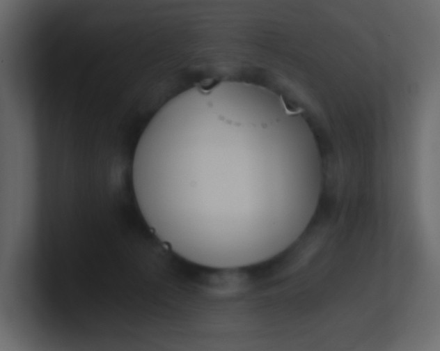 X0000101110225200807101516