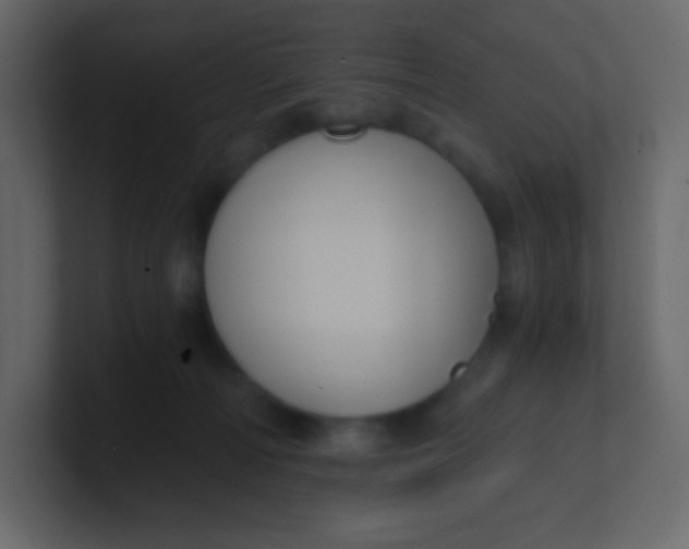 X0000101110226200807101516