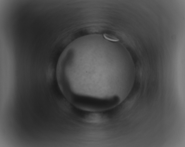 X0000101110227200807101516