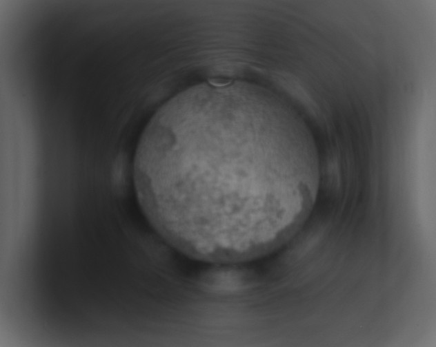 X0000101110228200807101516