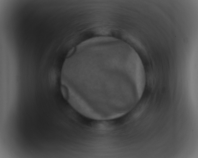 X0000101110229200807101516